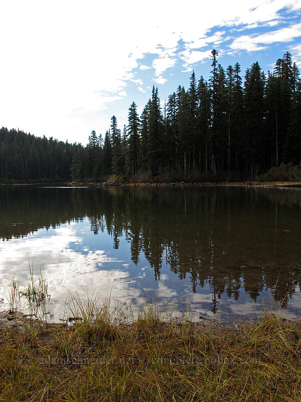 Thomas Lake [Thomas Lake Trail, Indian Heaven Wilderness, Skamania County, Washington]