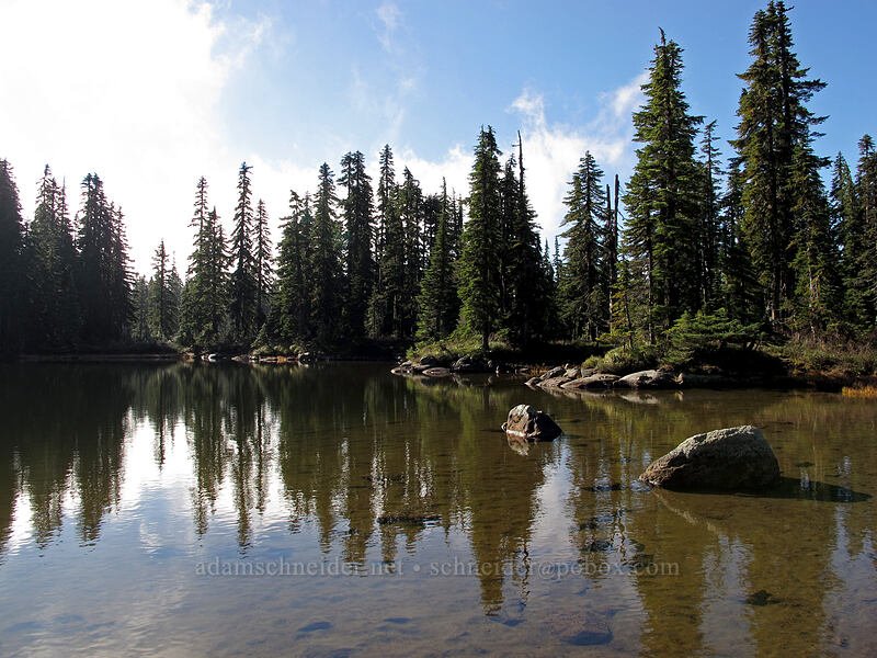 Rock Lake [Thomas Lake Trail, Indian Heaven Wilderness, Skamania County, Washington]