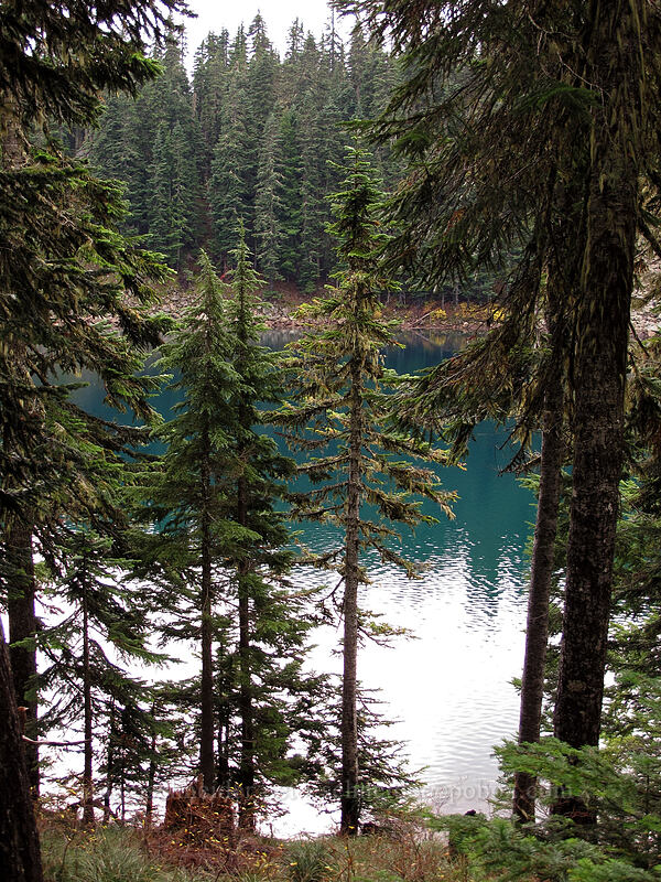 Blue Lake [Thomas Lake Trail, Indian Heaven Wilderness, Skamania County, Washington]