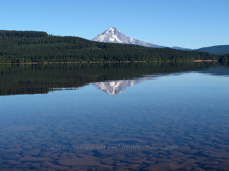 Mt. Hood & Timothy Lake [Hoodview Campground, Mt. Hood National Forest, Clackamas County, Oregon]