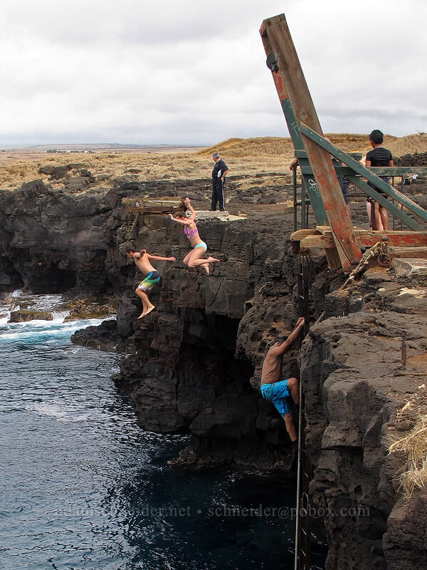 cliff jumpers [South Point (Ka Lae), Ka'u District, Big Island, Hawaii]