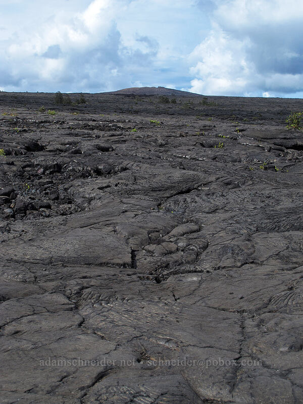 Mauna Ulu & lava [Chain of Craters Road, Hawaii Volcanoes National Park, Big Island, Hawaii]
