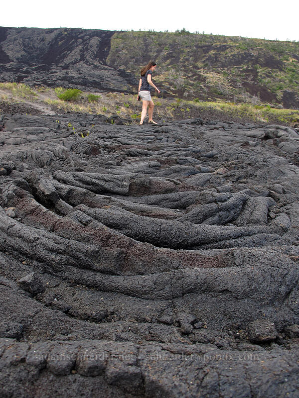 pahoehoe lava [Chain of Craters Road, Hawaii Volcanoes National Park, Big Island, Hawaii]