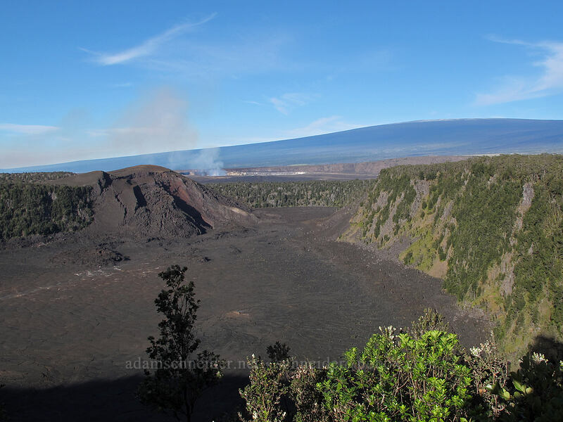 Kilauea Iki crater & Mauna Loa [Kilauea Iki Trail, Hawaii Volcanoes National Park, Big Island, Hawaii]