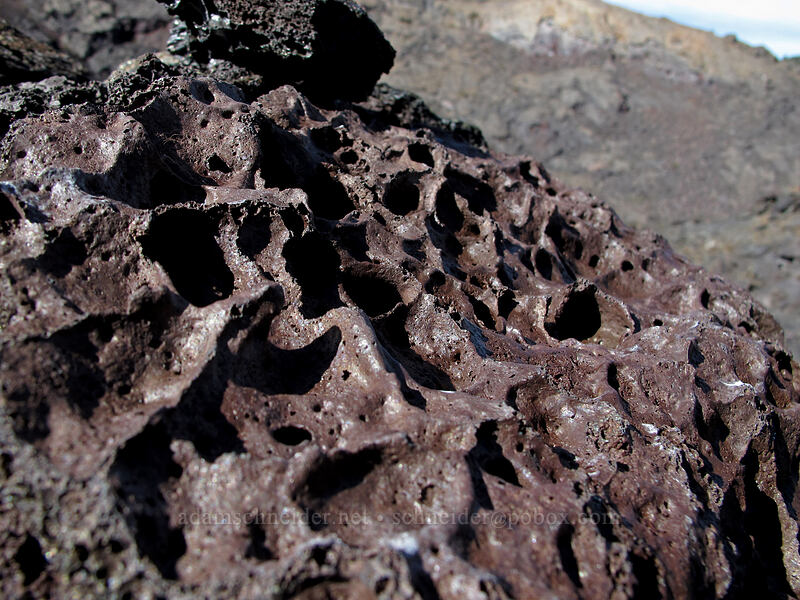 vesicular basalt [Kilauea Iki Crater, Hawaii Volcanoes National Park, Big Island, Hawaii]