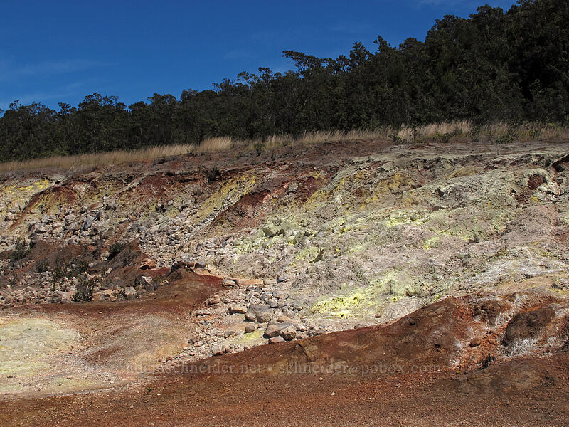 sulfur deposits [Sulphur Banks Trail, Hawaii Volcanoes National Park, Big Island, Hawaii]