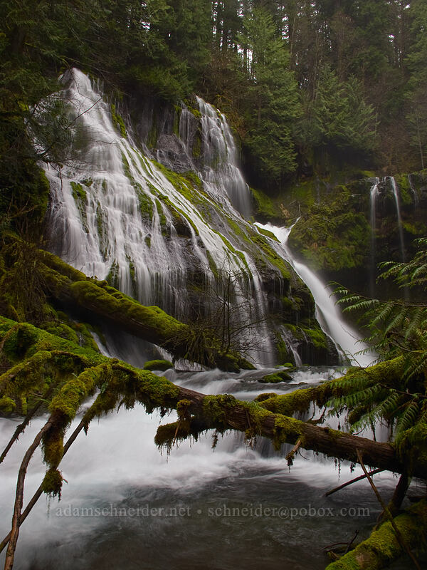 Panther Creek Falls [Forest Road 65, Gifford Pinchot National Forest, Skamania County, Washington]