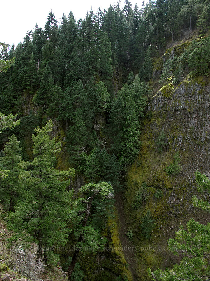 cliffs south of Indian Point [Indian Point, Mt. Hood National Forest, Hood River County, Oregon]