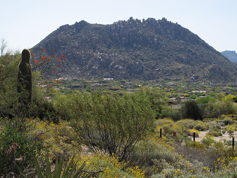 Troon Mountain [Pinnacle Peak Park, Scottsdale, Maricopa County, Arizona]