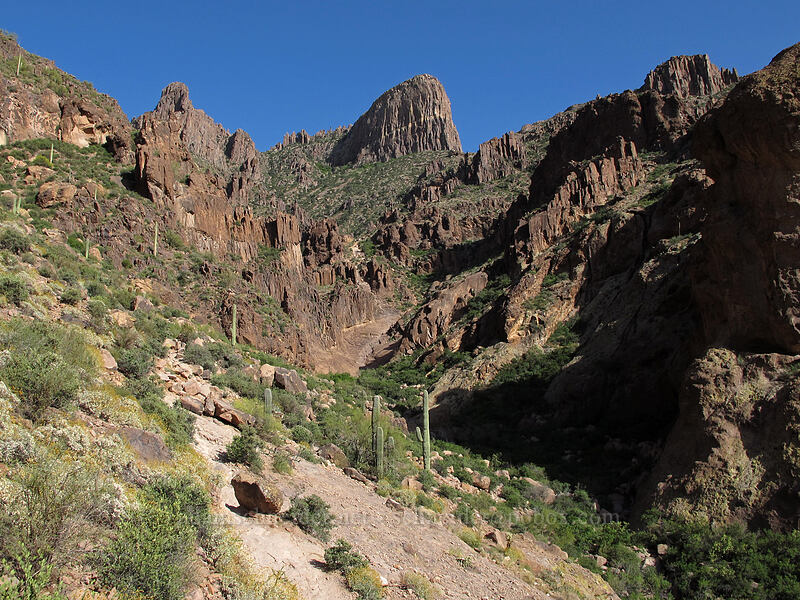 Siphon Draw & The Flatiron [Siphon Draw Trail, Superstition Wilderness, Pinal County, Arizona]