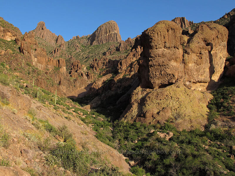 Siphon Draw & The Flatiron [Siphon Draw Trail, Superstition Wilderness, Pinal County, Arizona]