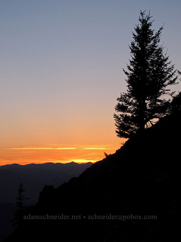 sunset [Dog Mountain, Gifford Pinchot National Forest, Skamania County, Washington]