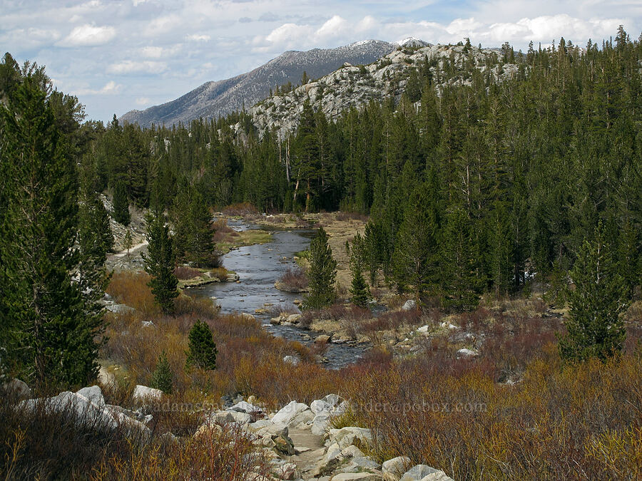 Rock Creek [Little Lakes Valley Trail, John Muir Wilderness, Inyo County, California]