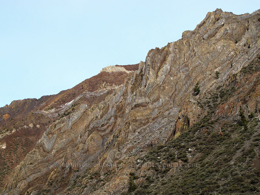 folded rock layers [McGee Creek Trail, Inyo National Forest, Mono County, California]