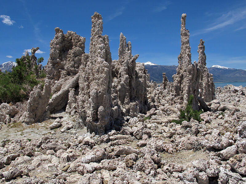 tufa formations [South Tufa Area, Mono Basin National Forest Scenic Area, Mono County, California]