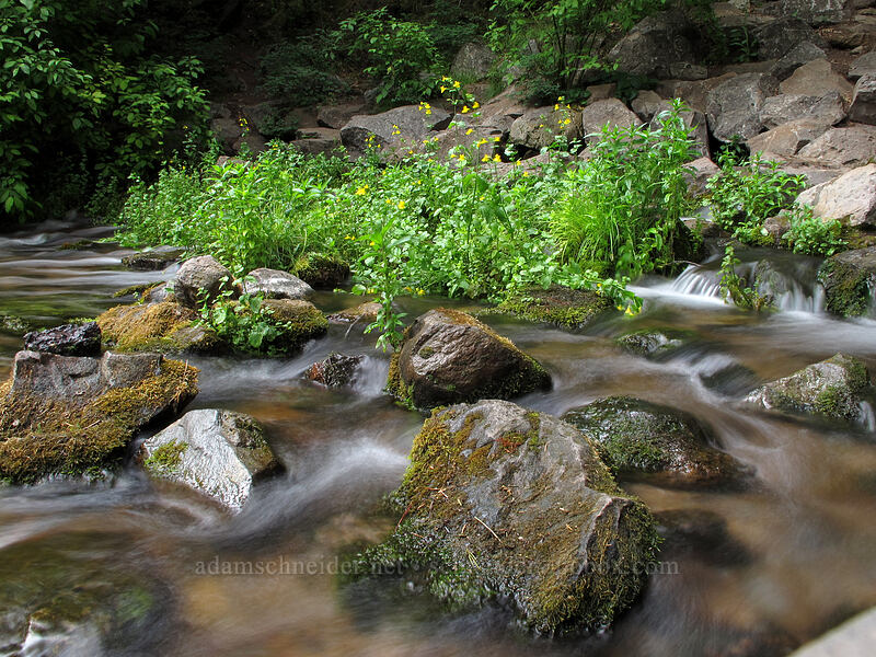 headwaters of the Sacramento River [Mt. Shasta City Park, Mount Shasta, Siskiyou County, California]