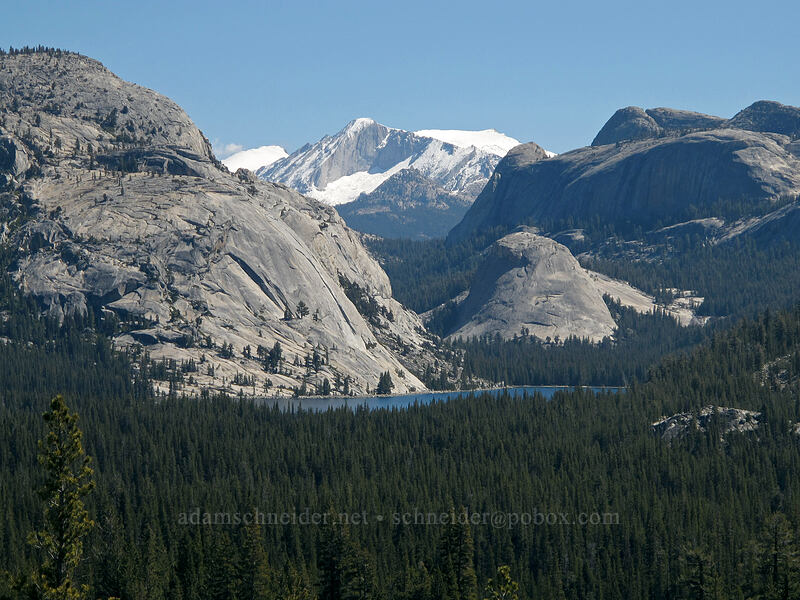 Polly Dome & Tenaya Lake [Olmsted Point, Yosemite National Park, Mariposa County, California]