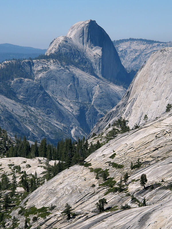 Half Dome [Olmsted Point, Yosemite National Park, Mariposa County, California]