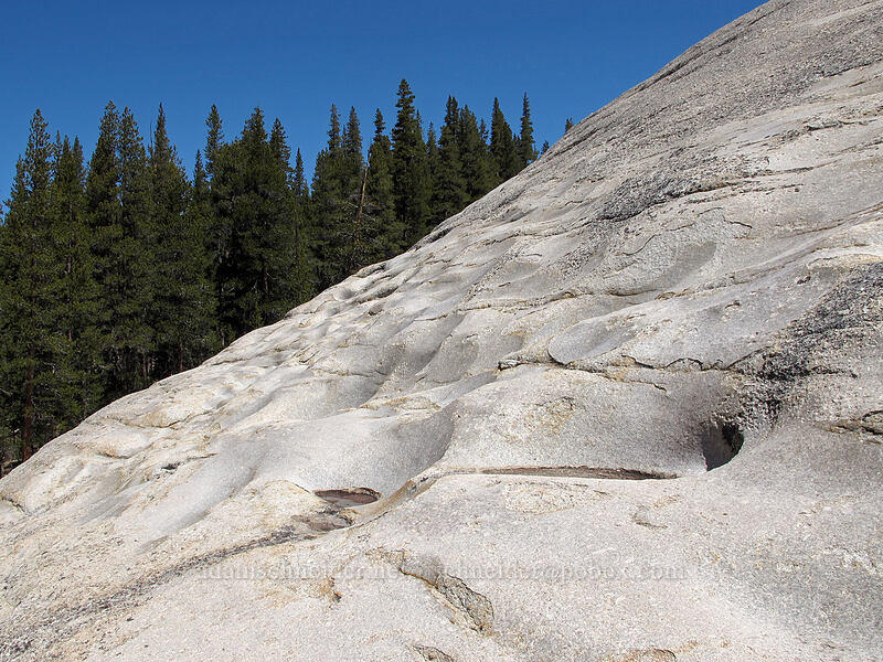 potholes in granite [Pothole Dome, Yosemite National Park, Tuolumne County, California]