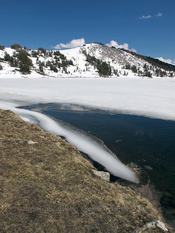 melting lake [Gaylor Lake Trail, Yosemite National Park, Tuolumne County, California]