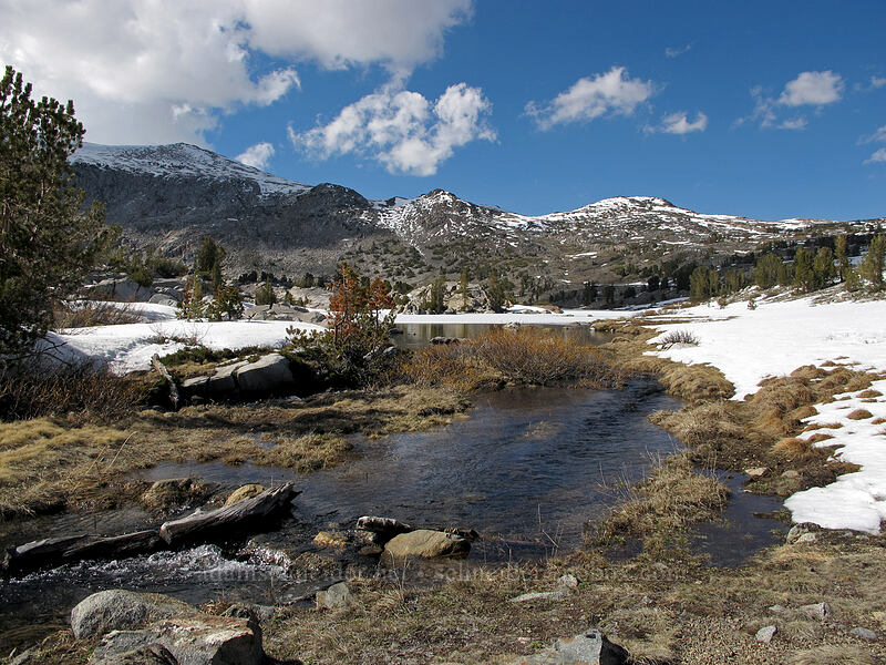 Granite Lakes' outflow stream [Gaylor Lakes Basin, Yosemite National Park, Tuolumne County, California]
