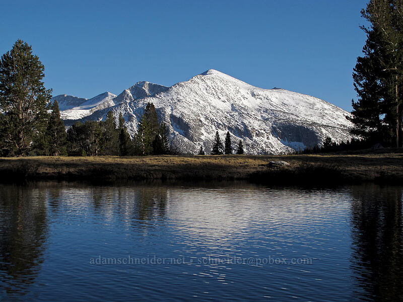 Mammoth Peak & ponds [Dana Meadows, Yosemite National Park, Tuolumne County, California]