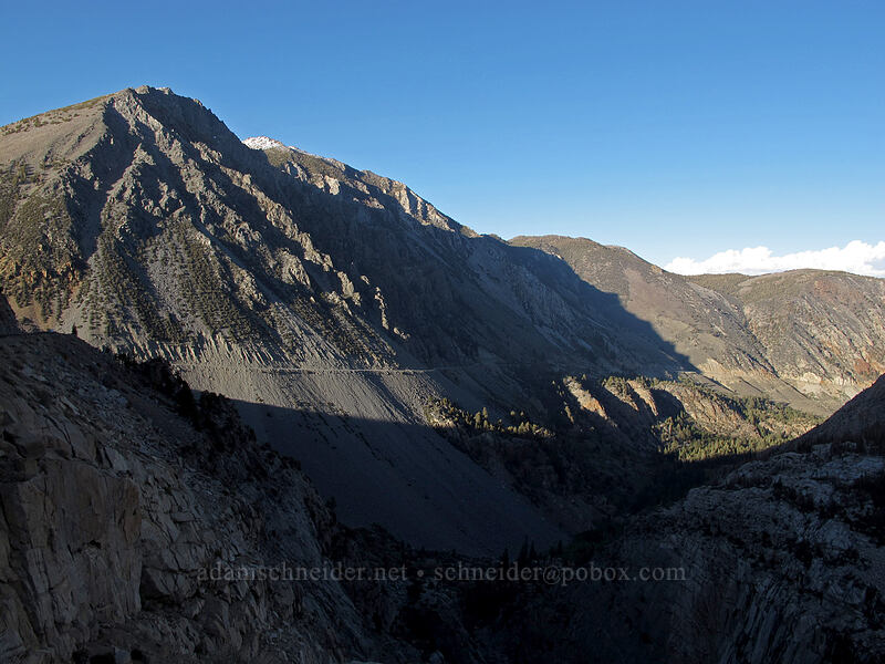 Lee Vining Canyon [Tioga Road, Inyo National Forest, Mono County, California]