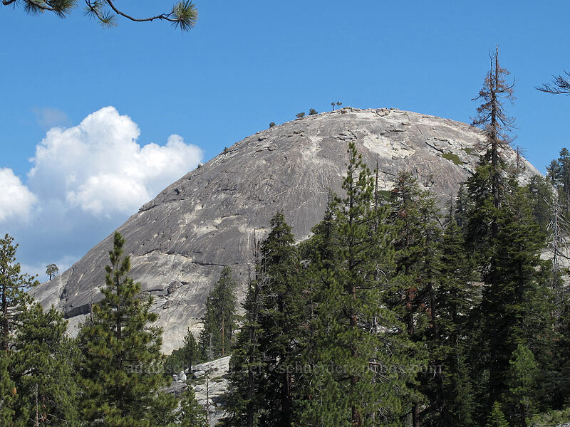 Sentinel Dome [Sentinel Dome Trail, Yosemite National Park, Mariposa County, California]