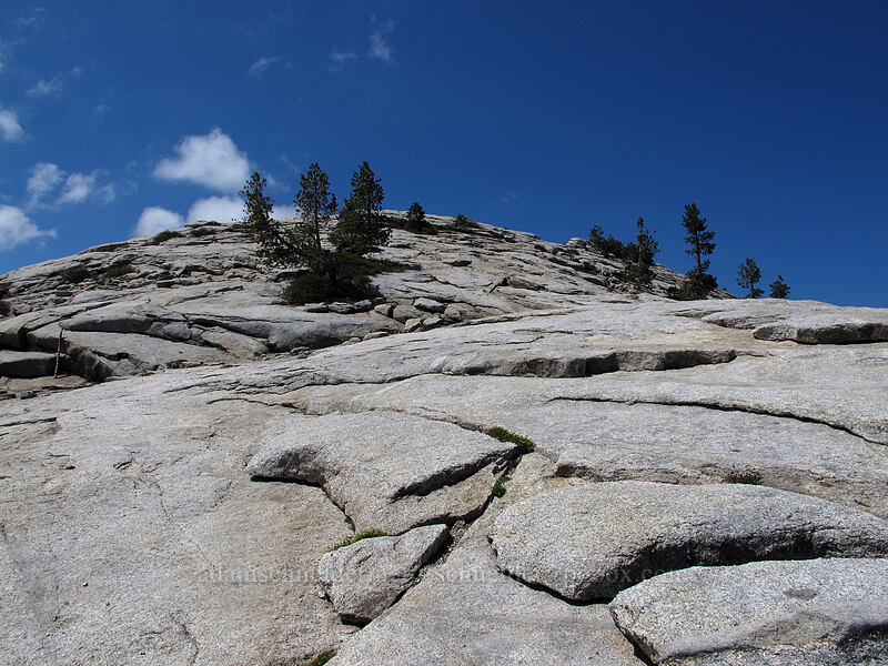 granite on Sentinel Dome [Sentinel Dome, Yosemite National Park, Mariposa County, California]