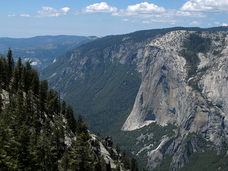 El Capitan [Pohono Trail, Yosemite National Park, Mariposa County, California]