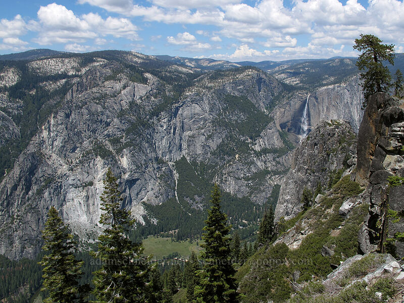 Yosemite Valley [Pohono Trail, Yosemite National Park, Mariposa County, California]