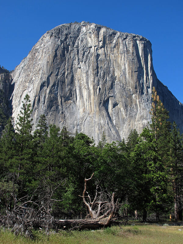 El Capitan [Yosemite Valley, Yosemite National Park, Mariposa County, California]