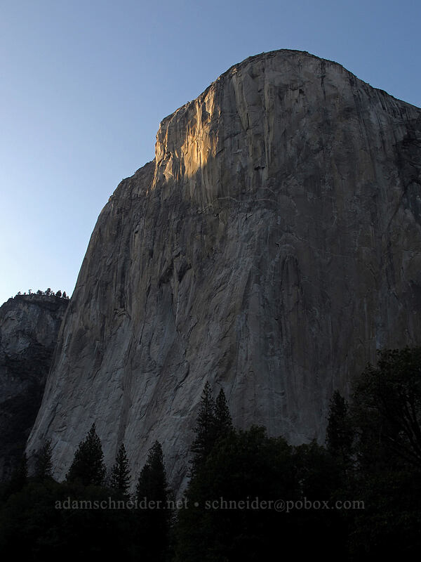 last light on El Capitan [Yosemite Valley, Yosemite National Park, Mariposa County, California]