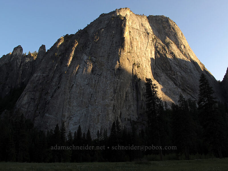 Cathedral Rocks [Yosemite Valley, Yosemite National Park, Mariposa County, California]