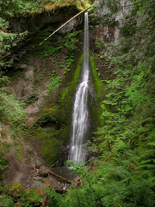 Marymere Falls [Marymere Falls Trail, Olympic National Park, Clallam County, Washington]