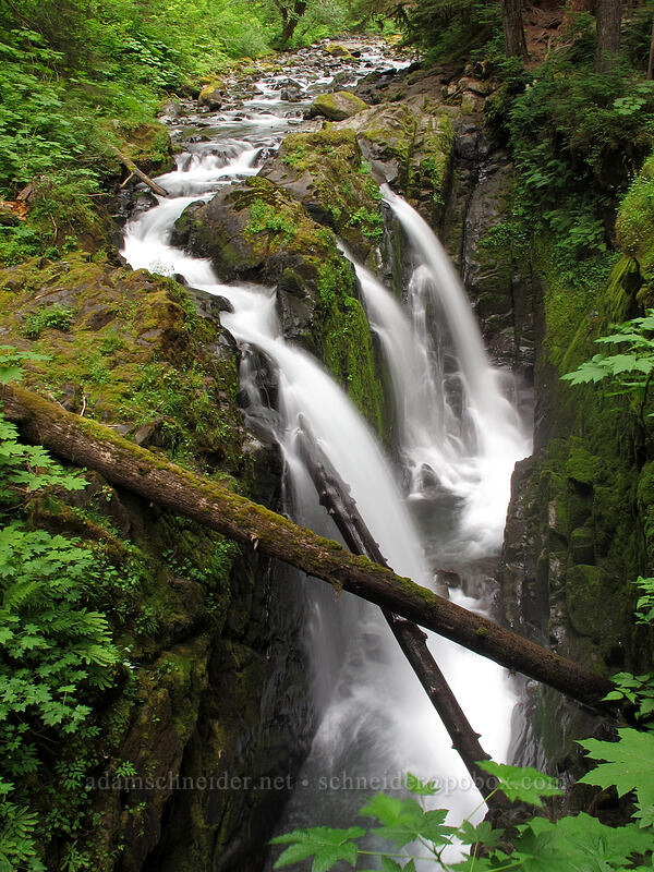 Sol Duc Falls [Sol Duc Trail, Olympic National Park, Clallam County, Washington]