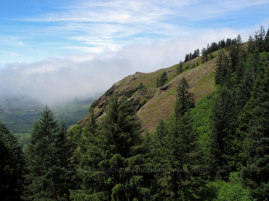 marine layer & Saddle Mountain [Saddle Mountain, Clatsop County, Oregon]