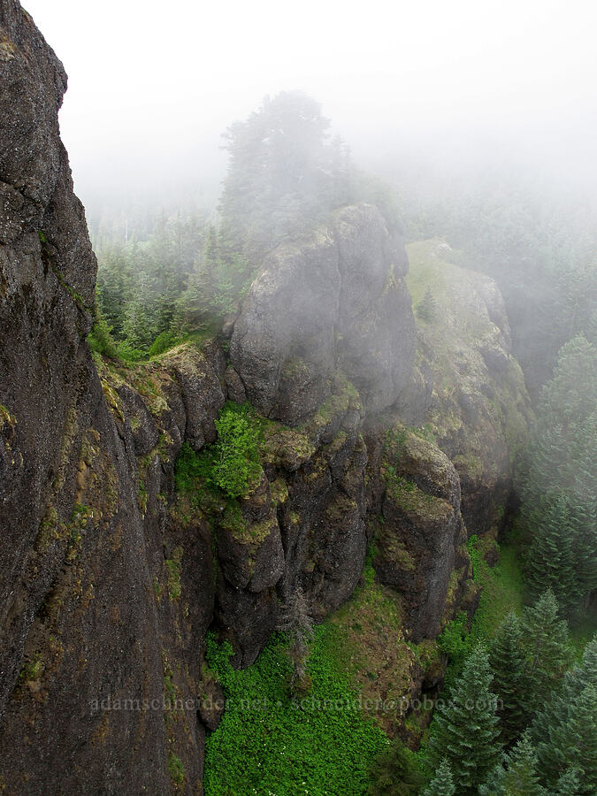 cliffs & fog [Saddle Mountain summit, Clatsop County, Oregon]