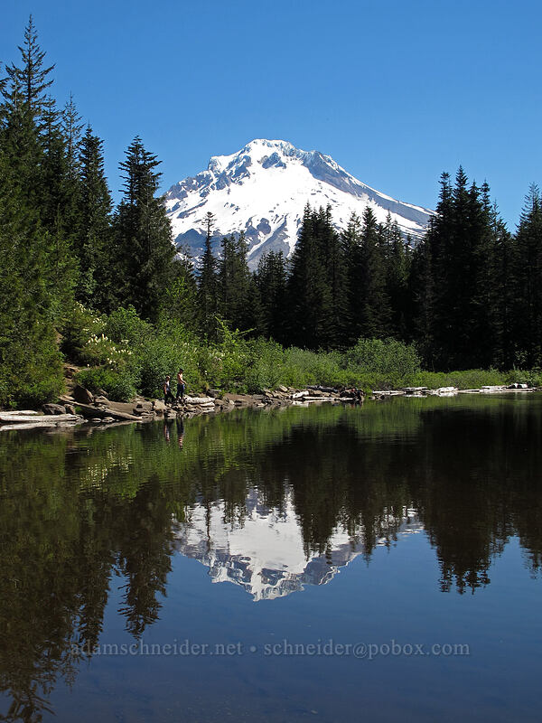 Mount Hood, reflected [Mirror Lake, Mt. Hood National Forest, Clackamas County, Oregon]