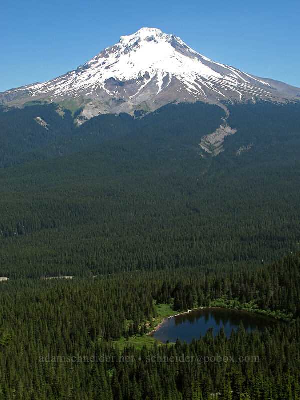 Mount Hood & Mirror Lake [Tom Dick & Harry Mountain, Salmon-Huckleberry Wilderness, Clackamas County, Oregon]