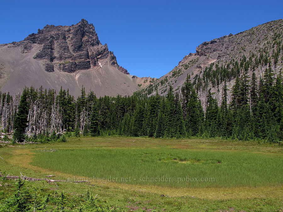 dried-up pond [First Creek Meadows, Mt. Jefferson Wilderness, Jefferson County, Oregon]