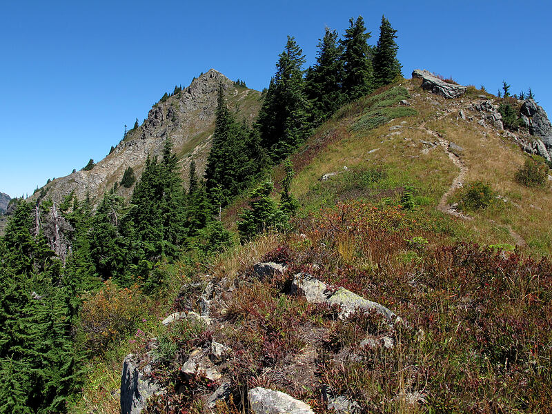 north end of Rampart Ridge [Rampart Ridge, Alpine Lakes Wilderness, Kittitas County, Washington]
