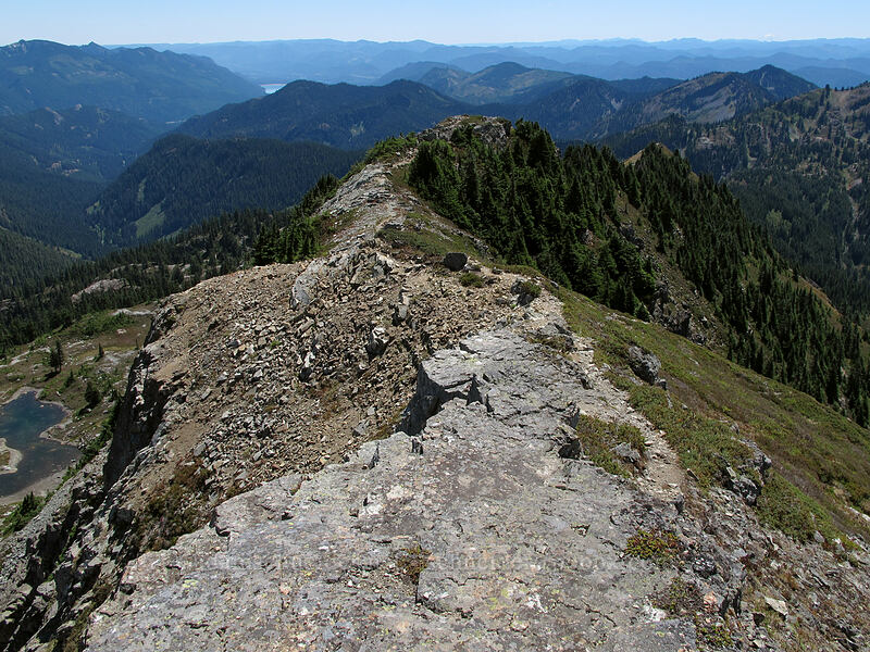 Alta Mountain's south ridge [Alta Mountain, Alpine Lakes Wilderness, Kittitas County, Washington]
