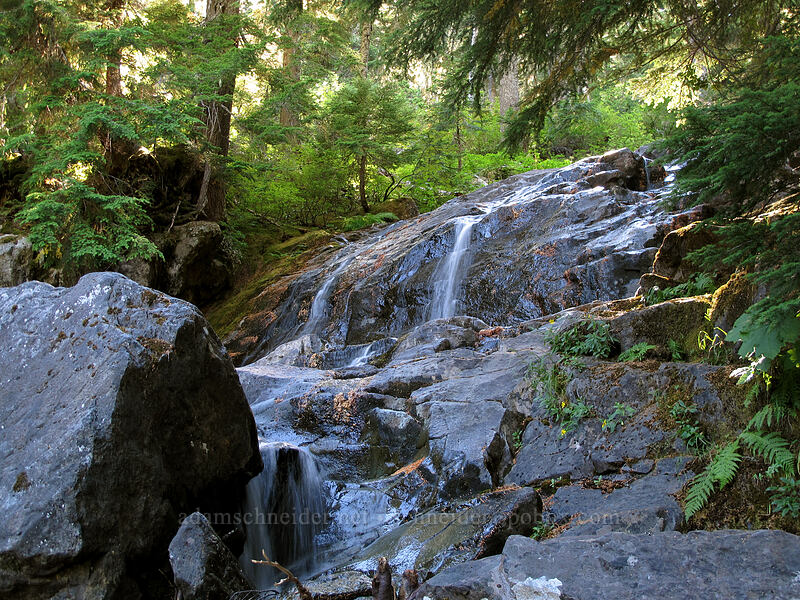 stream [Rachel Lake Trail, Alpine Lakes Wilderness, Kittitas County, Washington]