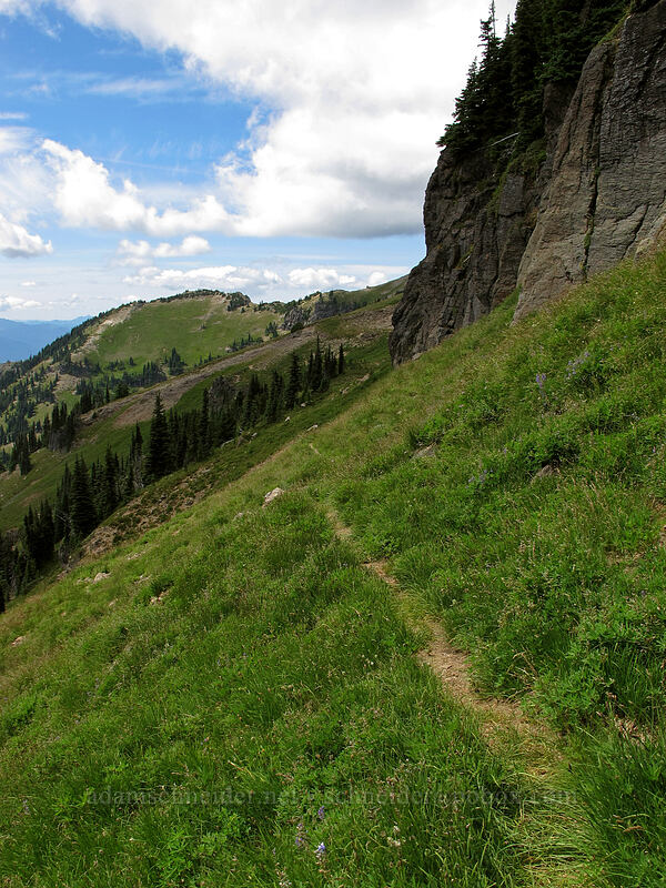 Lily Basin Trail [Lily Basin Trail, Goat Rocks Wilderness, Lewis County, Washington]