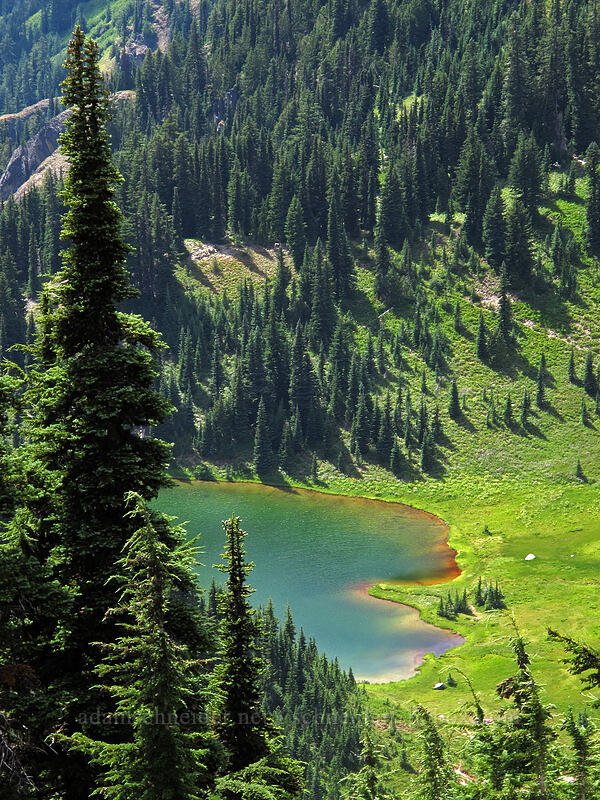 Heart Lake [Lily Basin Trail, Goat Rocks Wilderness, Lewis County, Washington]