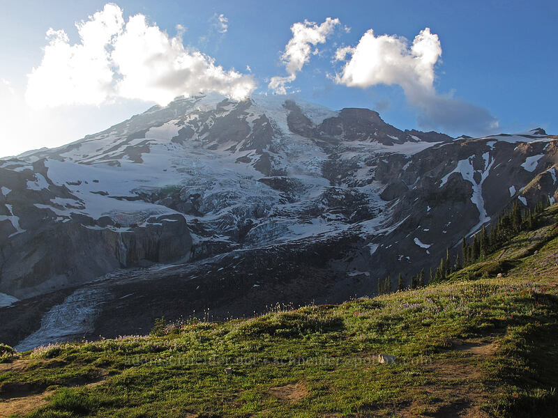 Mount Rainier [Glacier Vista Trail, Mt. Rainier National Park, Pierce County, Washington]