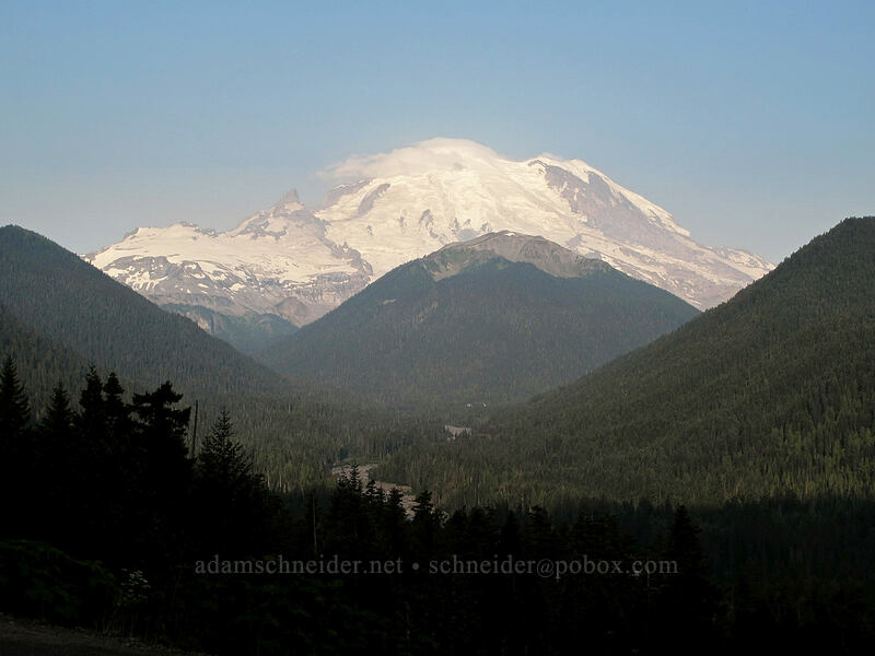 Mount Rainier from the east [Mather Memorial Parkway, Mt. Rainier National Park, Pierce County, Washington]