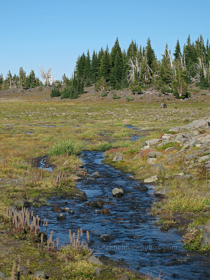 streams [near Camp Lake, Three Sisters Wilderness, Deschutes County, Oregon]