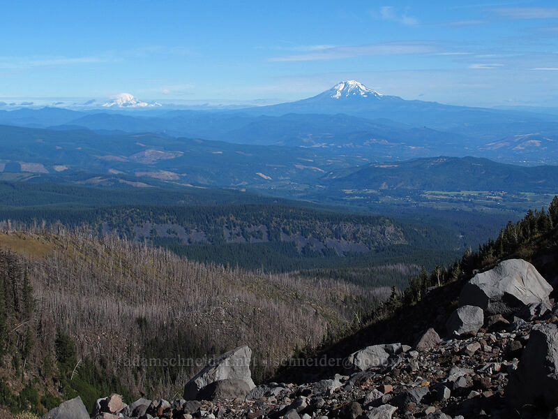 Mt. Adams & Mt. Rainier [Timberline Trail, Mt. Hood Wilderness, Hood River County, Oregon]